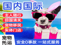 贡嘎航空货运国际宠物托运 【国